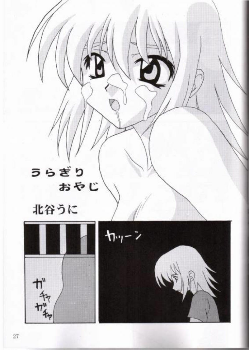 (C65) [TK-BROS (Various)] MIX UP 2003 WINTER Xsion (Kidou Senshi Gundam SEED) page 22 full