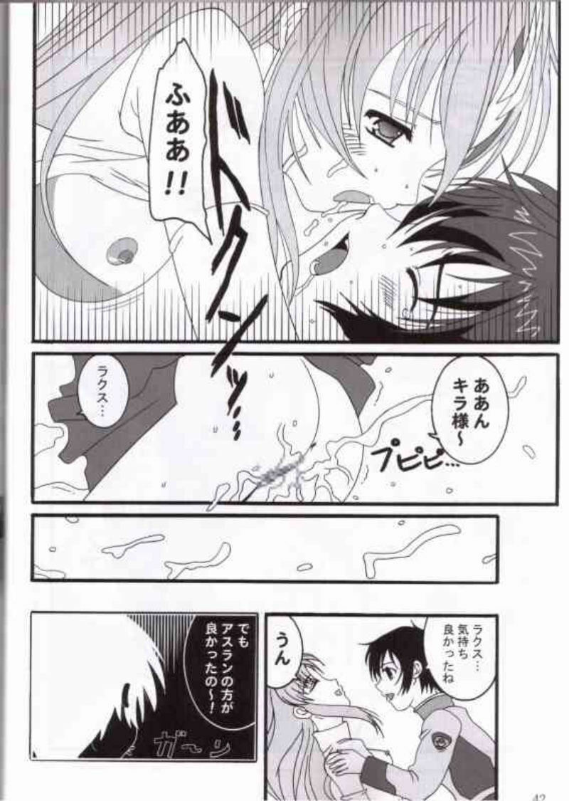 (C65) [TK-BROS (Various)] MIX UP 2003 WINTER Xsion (Kidou Senshi Gundam SEED) page 37 full