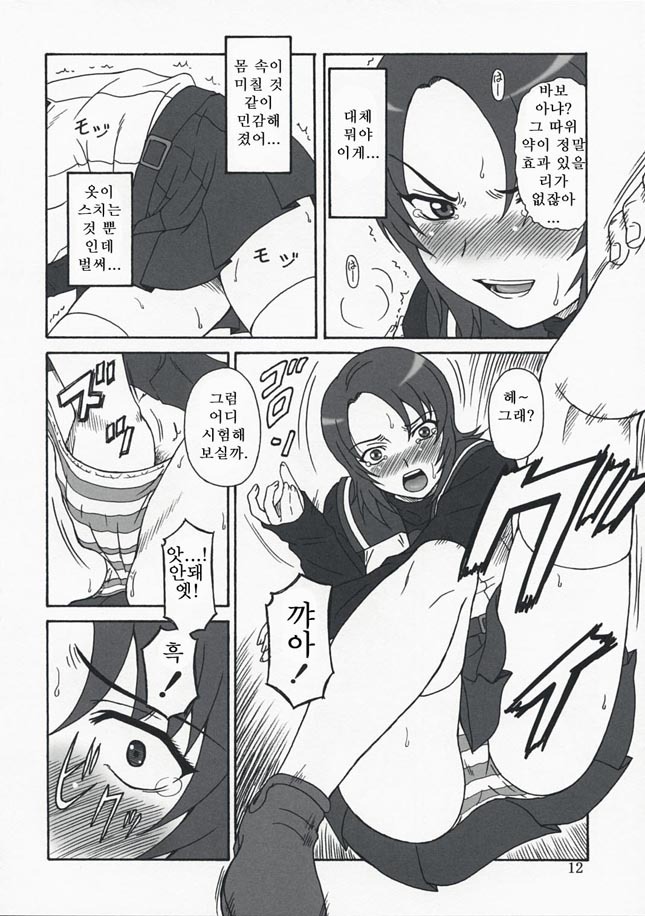 (C73)[Oretachi Misnon Ikka (Misnon the Great)] Mai-KAN 2 (Mai-HiME) (korean) page 11 full