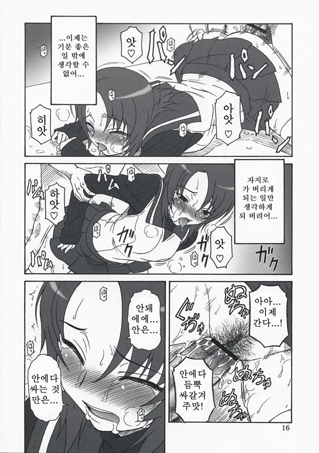 (C73)[Oretachi Misnon Ikka (Misnon the Great)] Mai-KAN 2 (Mai-HiME) (korean) page 15 full