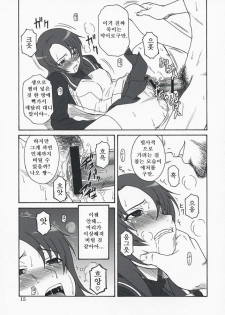 (C73)[Oretachi Misnon Ikka (Misnon the Great)] Mai-KAN 2 (Mai-HiME) (korean) - page 14