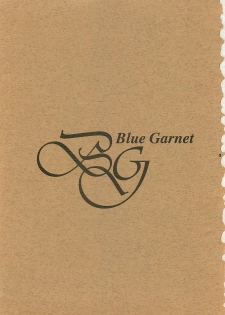 (C52) [BLUE GARNET (Serizawa Katsumi)] Blue Garnet Vol. 4 Kinku (Darkstalkers) - page 2