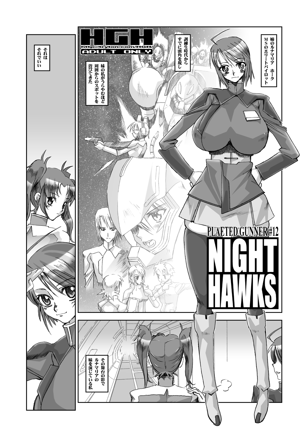 (Puniket 11) [HGH (HG Chagawa)] PLEATED GUNNER #12 (Gundam SEED DESTINY) page 5 full