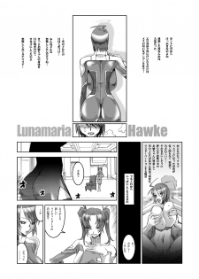 (Puniket 11) [HGH (HG Chagawa)] PLEATED GUNNER #12 (Gundam SEED DESTINY) - page 10