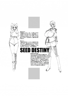 (Puniket 11) [HGH (HG Chagawa)] PLEATED GUNNER #12 (Gundam SEED DESTINY) - page 28
