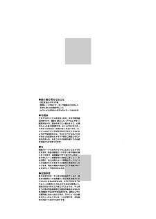 (Puniket 11) [HGH (HG Chagawa)] PLEATED GUNNER #12 (Gundam SEED DESTINY) - page 29
