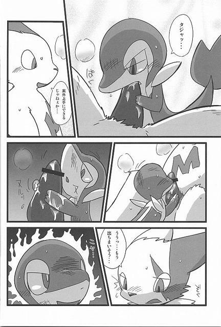 (Fur-st) [Dogear (Inumimi Moeta, Kurou Karasu)] Tsutahebishiiku Nisshi (Pokémon) page 10 full