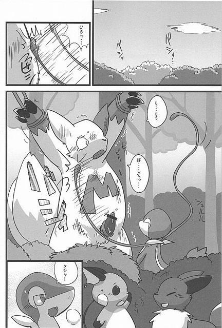 (Fur-st) [Dogear (Inumimi Moeta, Kurou Karasu)] Tsutahebishiiku Nisshi (Pokémon) page 12 full