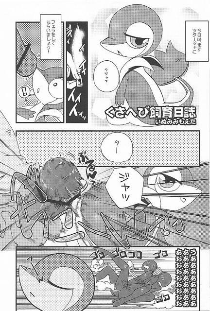 (Fur-st) [Dogear (Inumimi Moeta, Kurou Karasu)] Tsutahebishiiku Nisshi (Pokémon) page 17 full