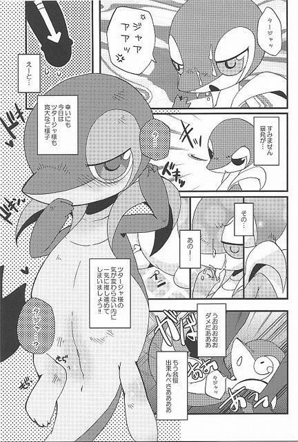 (Fur-st) [Dogear (Inumimi Moeta, Kurou Karasu)] Tsutahebishiiku Nisshi (Pokémon) page 19 full