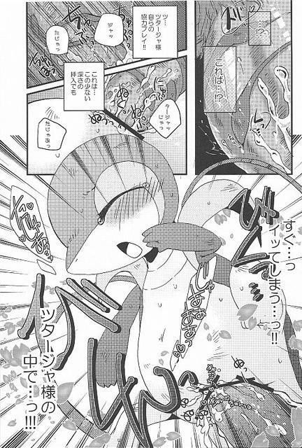 (Fur-st) [Dogear (Inumimi Moeta, Kurou Karasu)] Tsutahebishiiku Nisshi (Pokémon) page 23 full
