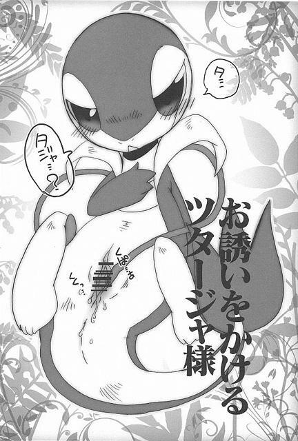 (Fur-st) [Dogear (Inumimi Moeta, Kurou Karasu)] Tsutahebishiiku Nisshi (Pokémon) page 4 full