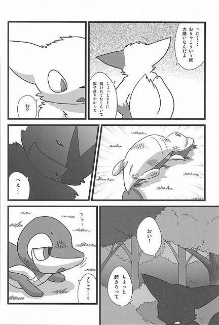 (Fur-st) [Dogear (Inumimi Moeta, Kurou Karasu)] Tsutahebishiiku Nisshi (Pokémon) page 8 full