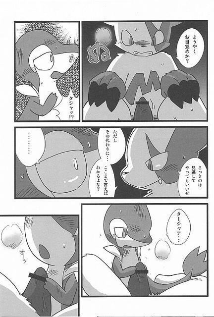 (Fur-st) [Dogear (Inumimi Moeta, Kurou Karasu)] Tsutahebishiiku Nisshi (Pokémon) page 9 full
