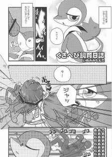 (Fur-st) [Dogear (Inumimi Moeta, Kurou Karasu)] Tsutahebishiiku Nisshi (Pokémon) - page 17