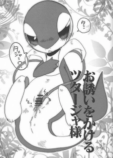 (Fur-st) [Dogear (Inumimi Moeta, Kurou Karasu)] Tsutahebishiiku Nisshi (Pokémon) - page 4