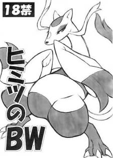 (Fur-st) [Mayoineko (Nakagami Takashi)] Himitsu no BW (Pokémon) - page 1