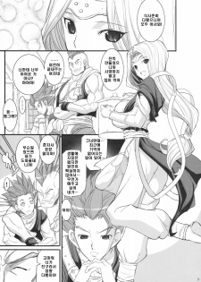 (COMIC1☆4) [Youkai Tamanokoshi (CHIRO)] MIREILLE SIDE (Dragon Quest VI) [Korean] [보통남자] - page 5