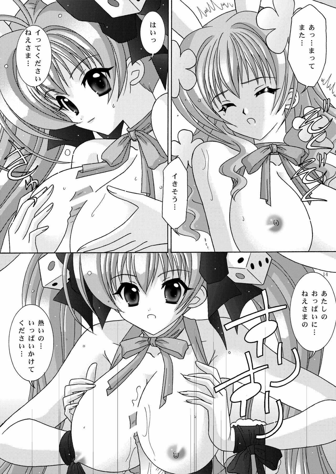 (C65) [Bousou!! Fuhatsudan (Takai Biki)] BOOB×BOOB2 (Di Gi Charat) page 13 full