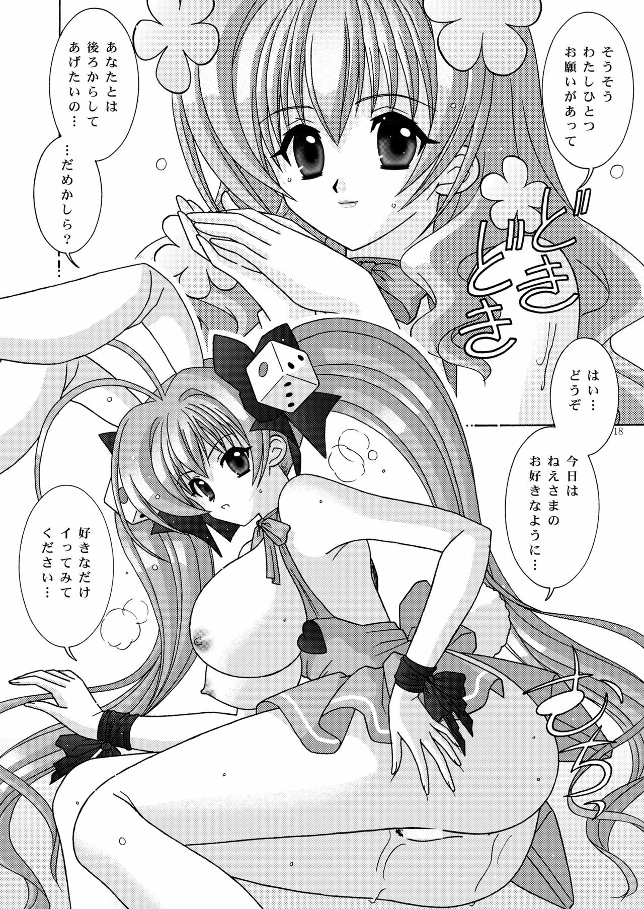 (C65) [Bousou!! Fuhatsudan (Takai Biki)] BOOB×BOOB2 (Di Gi Charat) page 17 full