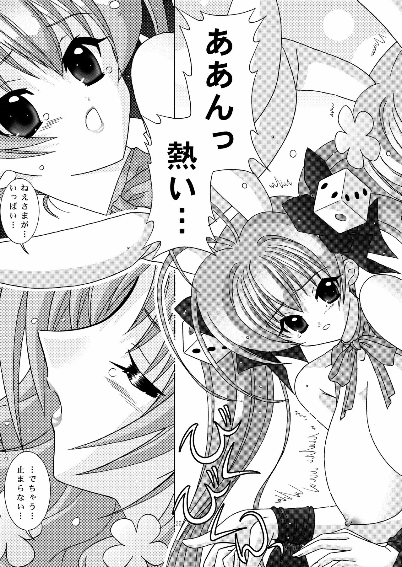 (C65) [Bousou!! Fuhatsudan (Takai Biki)] BOOB×BOOB2 (Di Gi Charat) page 24 full