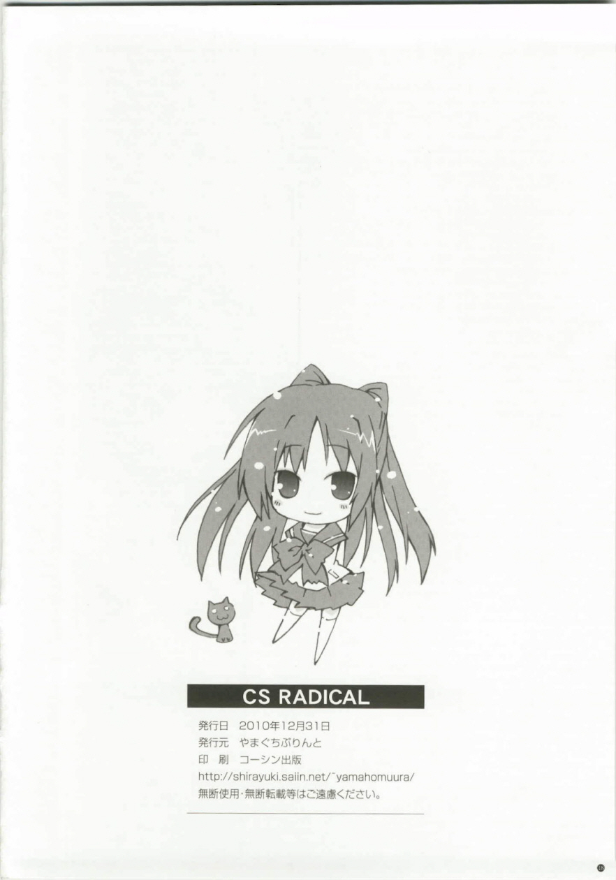 (C79) [Yamaguchi Print (Tamaki Yayoi)] CS RADICAL (ToHeart 2) [Korean] page 17 full