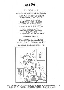[Robina go round (Robina)] Nekonadettu! | Pet the Cat! (Final Fantasy XI) - page 29