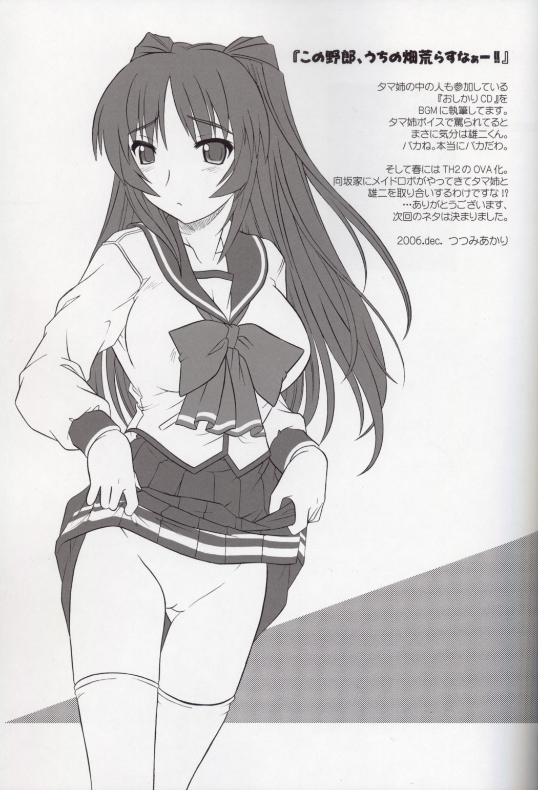 (C71) [CAZA MAYOR (Tsutsumi Akari)] ToyHeart Vol. 4 (ToHeart2) [English] [JMCS] page 24 full