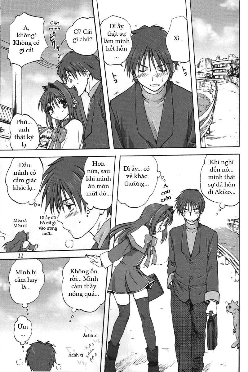 (C72) [Mitarashi Club (Mitarashi Kousei)] Akiko-san to Issho (Kanon) [Vietnamese Tiếng Việt] [DHL] page 10 full