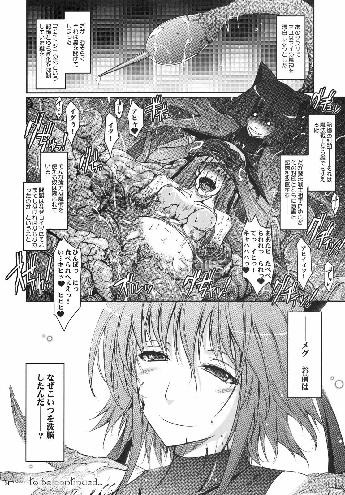 (C78) [Garyu-Chitai (TANA)] Touchu Kasou 2 (Mahou Shoujo Ai) page 33 full