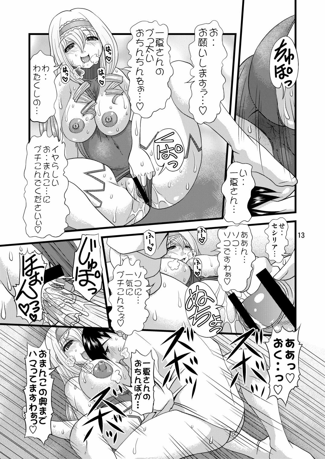 (COMIC1☆5) [Acid Noel (Mitsuki Rintarou)] Eikoku Kyojiri Musume (IS ) page 13 full