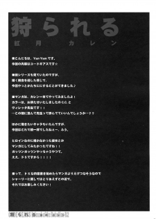 (C74) [Yan-Yam] Karareru -Akatsuki Kallen- (Code Geass: Lelouch of the Rebellion) [Korean] [Team H] - page 12
