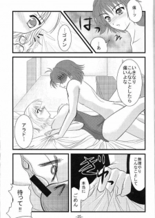 (C67) [detergent (Matsunami Rumi)] Makeinu Pantsu. (Super Robot Taisen | Super Robot Wars) - page 24