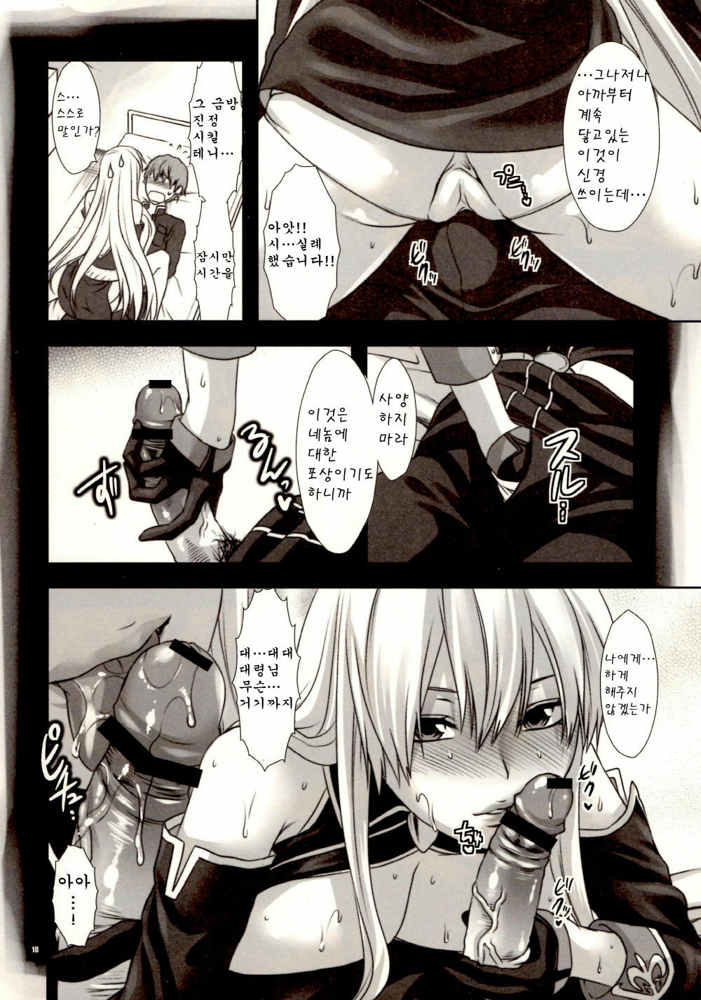 (C78) [Lv.X+ (Yuzuki N Dash)] Boku no Subete wo Taisa ni Sasagu (Valkyria Chronicles) [Korean] [Team H] page 18 full