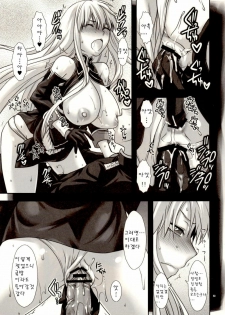 (C78) [Lv.X+ (Yuzuki N Dash)] Boku no Subete wo Taisa ni Sasagu (Valkyria Chronicles) [Korean] [Team H] - page 23