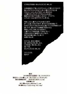 (C78) [Lv.X+ (Yuzuki N Dash)] Boku no Subete wo Taisa ni Sasagu (Valkyria Chronicles) [Korean] [Team H] - page 34