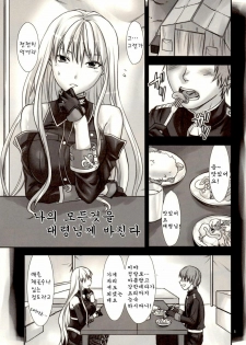 (C78) [Lv.X+ (Yuzuki N Dash)] Boku no Subete wo Taisa ni Sasagu (Valkyria Chronicles) [Korean] [Team H] - page 5