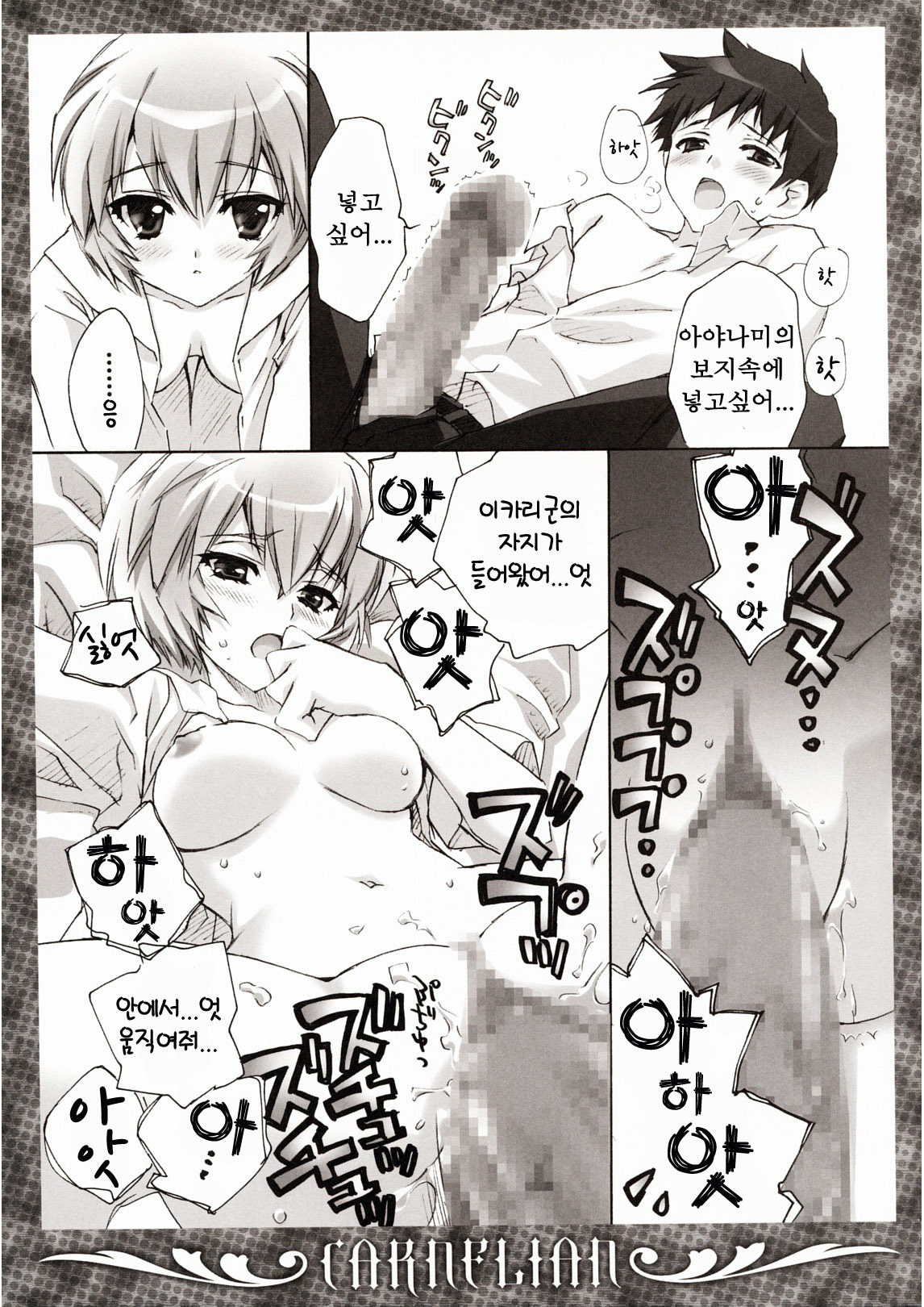 (C78) [CARNELIAN] Ikari-kun to Pokapoka Shitai...... (Neon Genesis Evangelion) [Korean] [Project H] page 12 full