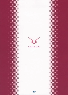 (C74) [DECOPPACHI (Hidiri Rei)] CAT & DOG (CODE GEASS: Lelouch of the Rebellion) [Korean] [Project H] - page 26