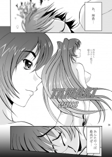 (C68) [D-heaven (Amanogami Dai)] DoHearts 3 Tama-chan of Joytoy (ToHeart 2) - page 24