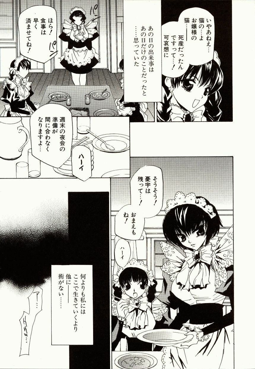 [Takamatsu Makoto] Biyaku Maid -Yuu- page 43 full