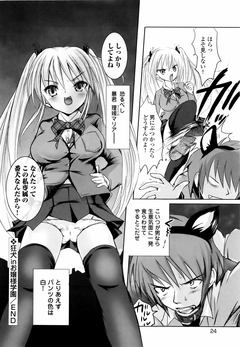 [Natsume Fumika] Sundere! Vol. 01 page 27 full