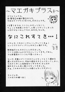 (C78) [Shin Hijiridou Honpo, Tounantou (Hijiri Tsukasa, Mai)] Kodoku no Atami Atami wa Konderu mitaidayo Nene-san (Love Plus) - page 3
