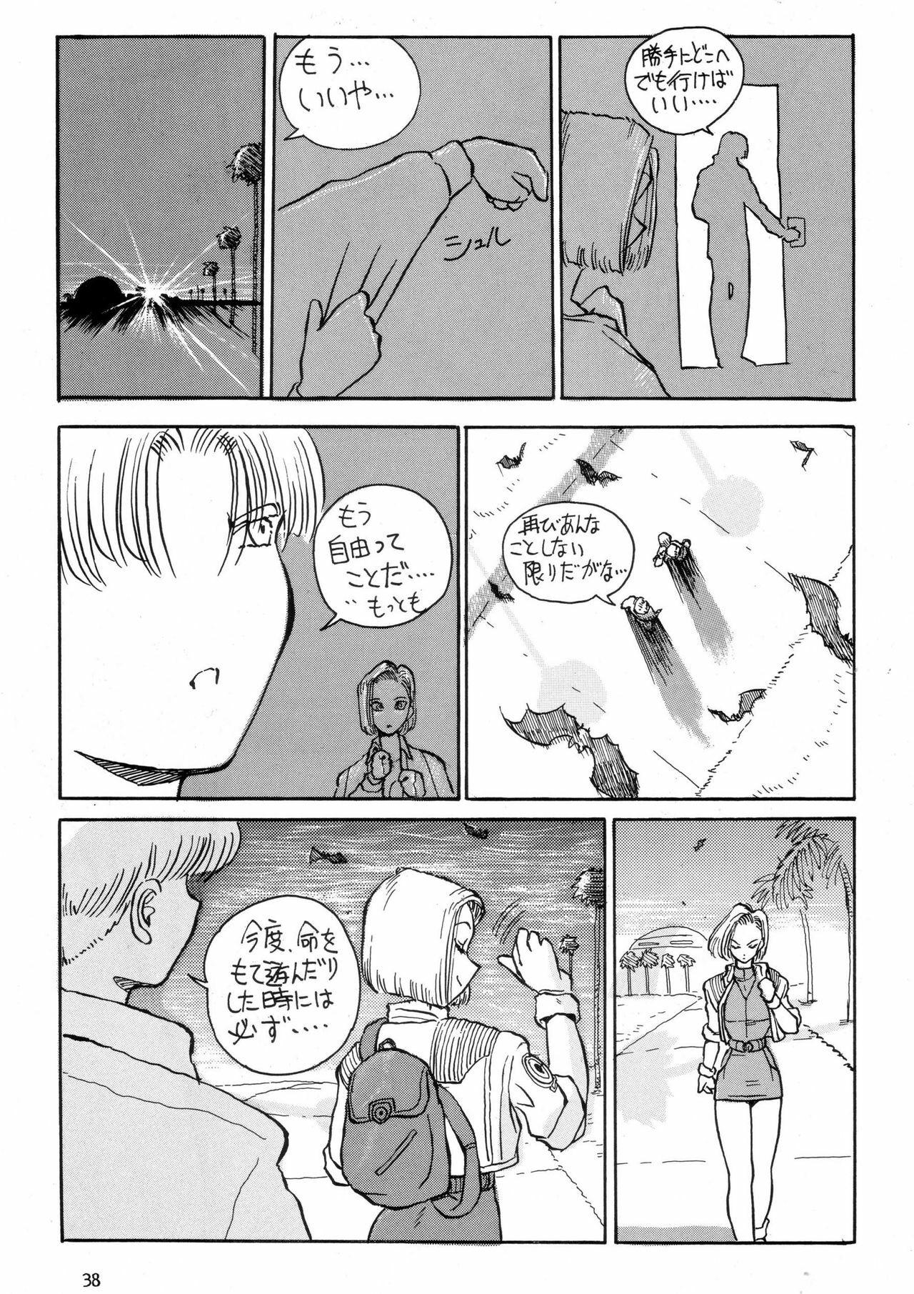[Oiwaidou (Iwasaki Tatsuya)] PREY OF BIRD (Dragon Ball Z) [Digital] page 40 full