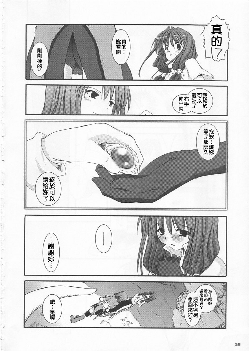 (C65) [Digital Lover (Nakajima Yuka)] D.L. Action 21 (Ragnarok Online) [Chinese] [Nice漢化] page 26 full