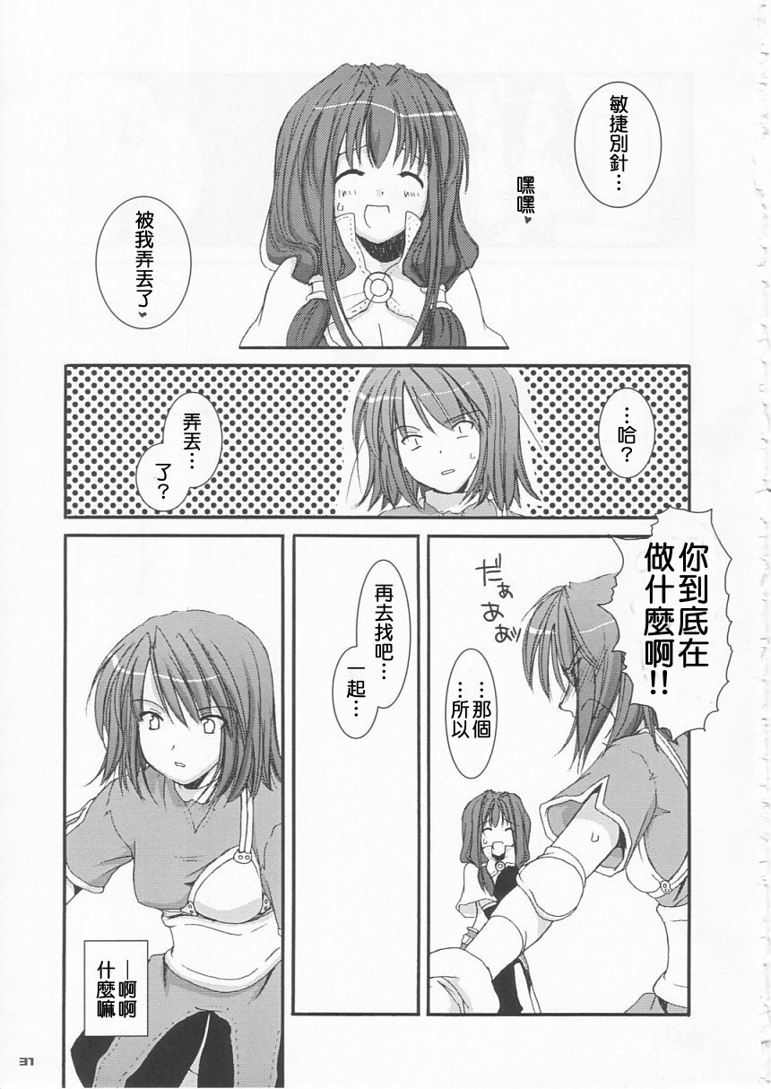 (C65) [Digital Lover (Nakajima Yuka)] D.L. Action 21 (Ragnarok Online) [Chinese] [Nice漢化] page 31 full