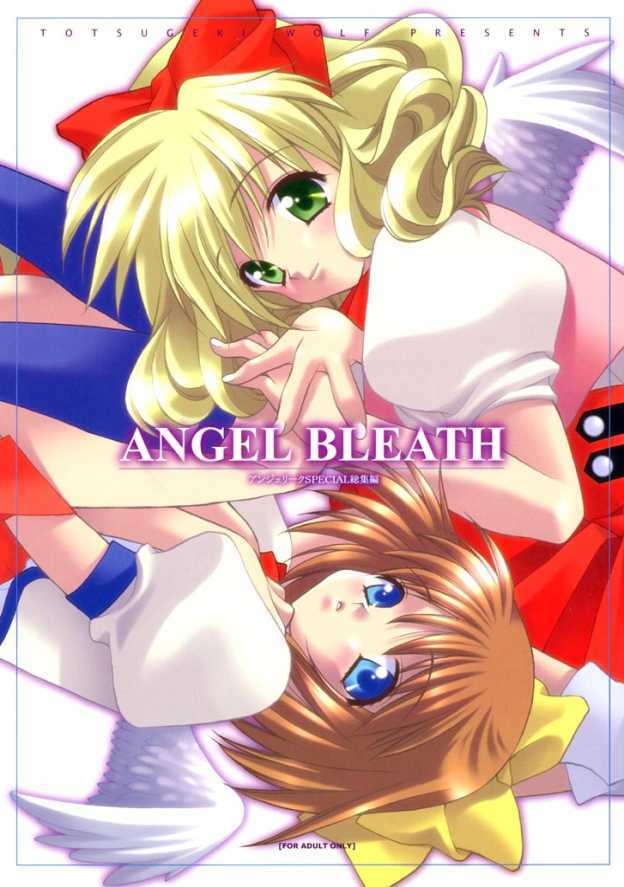 (C61) [Totsugeki Wolf (Yuhki Mitsuru)] ANGEL BREATH (Angelique Special) page 1 full