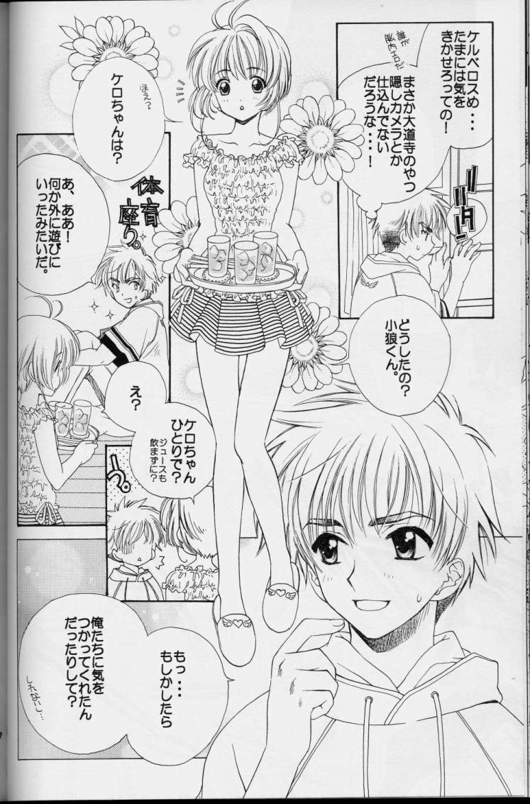 (C64) [Totsugeki Wolf (Yuuki Mitsuru)] Sakura Sakura (Cardcaptor Sakura) page 14 full