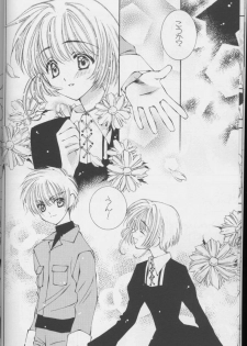 (C64) [Totsugeki Wolf (Yuuki Mitsuru)] Sakura Sakura (Cardcaptor Sakura) - page 8