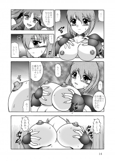 (Puniket 22) [Studio Kyawn (Murakami Masaki)] Ikai jigen (Mahou Shoujo Lyrical Nanoha A's) - page 13